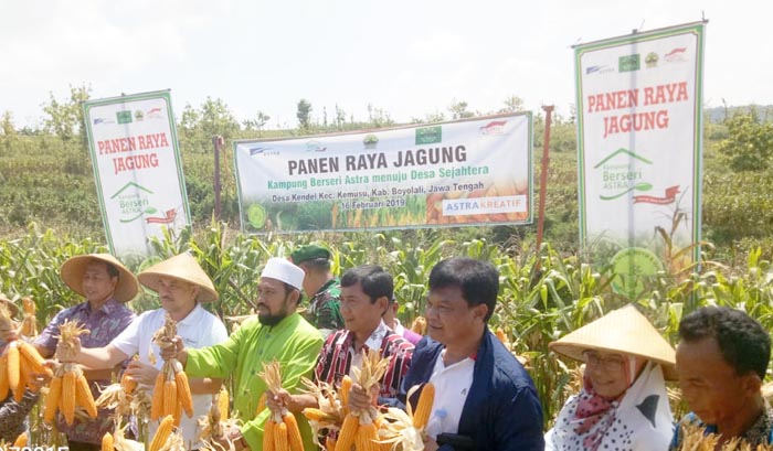 Petani Jateng Tolak Jagung Impor, Produksi Triwulan I Capai 1,45 Juta Ton
